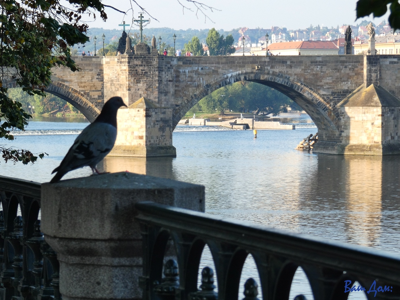 Карлов мост, Прага
